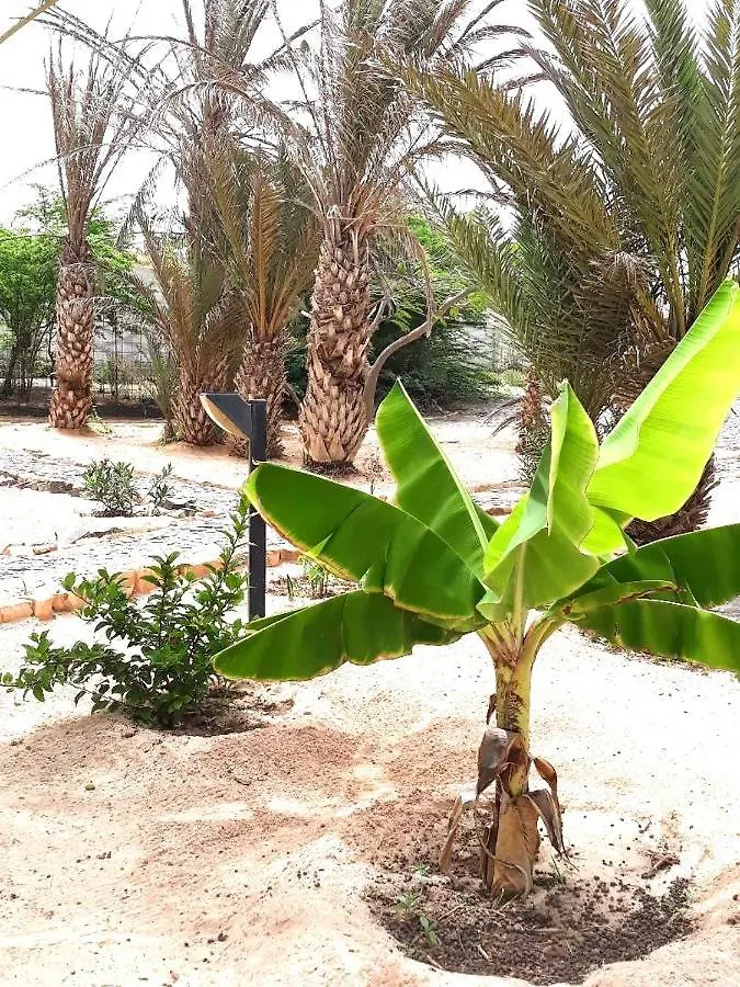 Holiday home Beach House Agua Viva, Praia De Chaves, Boa Vista, Sal Rei, Cape Vert, 50Mt Spiaggia Rabil Cape Verde